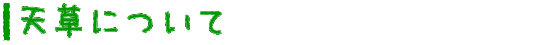 天草について